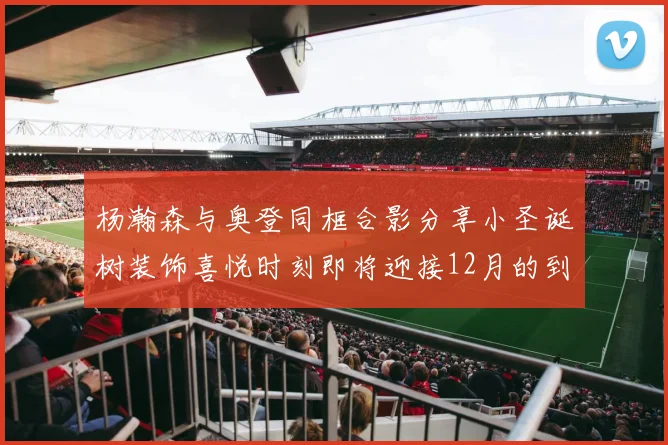 杨瀚森与奥登同框合影分享小圣诞树装饰喜悦时刻即将迎接12月的到来