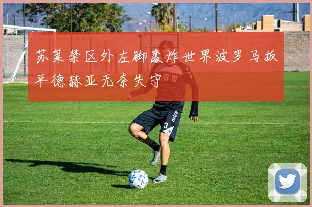 苏莱禁区外左脚轰炸世界波罗马扳平德赫亚无奈失守